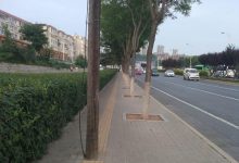 盲道“盲”-渤海琴师