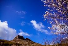 【琴师竖笛】北国之春-渤海琴师